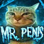 Mr. Penis