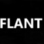 FLANT