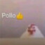 Don Pollo