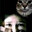♿Boubungus