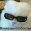 _ЩЕНОК_