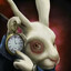 AnimaΛ's avatar