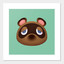 Tom nook