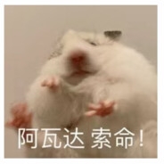 烫锡纸的小奶狗