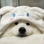 Bubibu's avatar