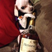 ice_cube187 - steam id 76561198054471725