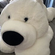 吃乌龟的小鳄鱼