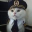 Captain Miau