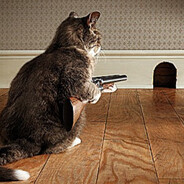 iʍ𝓭𝖆𝓉 T𝕖ҟ ⁷