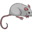 Lil&#039; Rat