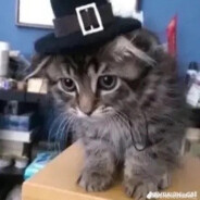 Farris's Avatar