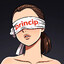 princip