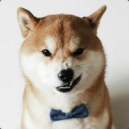 一只家养的狗狗