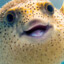 Zegg