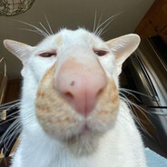 ραρραһαρα🍺