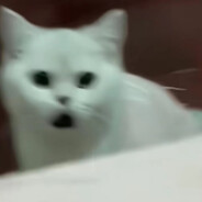 今天喝八杯水了吗