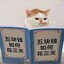 五块钱如何花三天