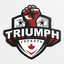 Triumph.NET