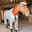Percy Earl avatar