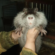 аутист - пасаси