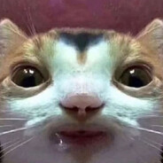 misclick fr