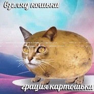 Котошка