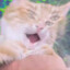 Cuchu²'s avatar