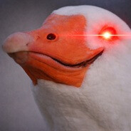 Maćko's avatar