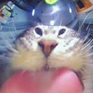 Рикардо Милош