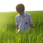 бесконечная дора