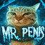 Mr. Penis