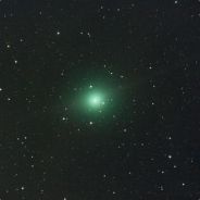 断魂椒
