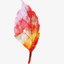 leaf秋