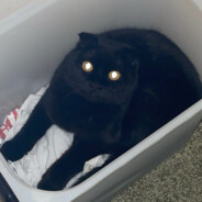 zaporozhskaya永暗书