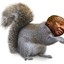 Squirrel Ramaphosa