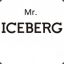 Mr.ICEBERG™