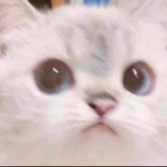 Tutuluș Dă La Buci