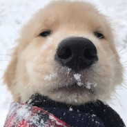 你的后面我在呢