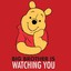 BigBroWatchU