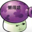 xiaonian