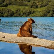 SpnKo - steam id 76561198273214416