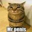 Mr penis
