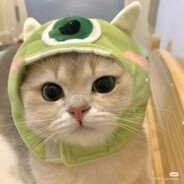 I'm suffering of depreshn