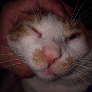 Hag's Infected Pussy Steam avatar