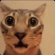 catofeye