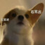 就是一块糖