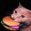 cat that eats burger