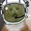 Space Cat