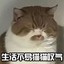 wenwugogo
