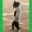 LeGaTron